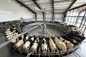  &copy;&nbsp;Фото СЗАО &laquo;СКВО&raquo;, предоставлено пресс-службой Сбера