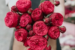  &copy;&nbsp;Фото rock earth с сайта Unsplash.com