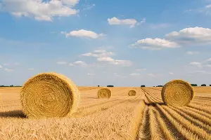  &copy;&nbsp;Изображение сгенерировано нейросетью Сбера GigaChat