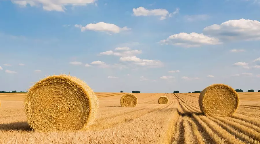  &copy;&nbsp;Изображение сгенерировано нейросетью Сбера GigaChat