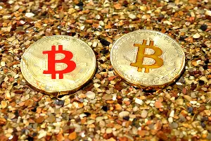  &copy;&nbsp;Фото с сайта pixabay.com