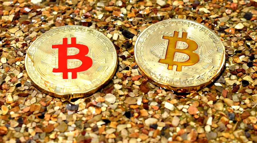  &copy;&nbsp;Фото с сайта pixabay.com