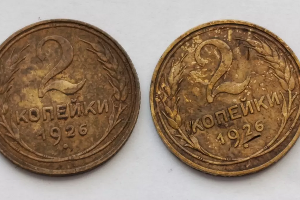 монета &copy;&nbsp;Колымский Шатун на пенсии