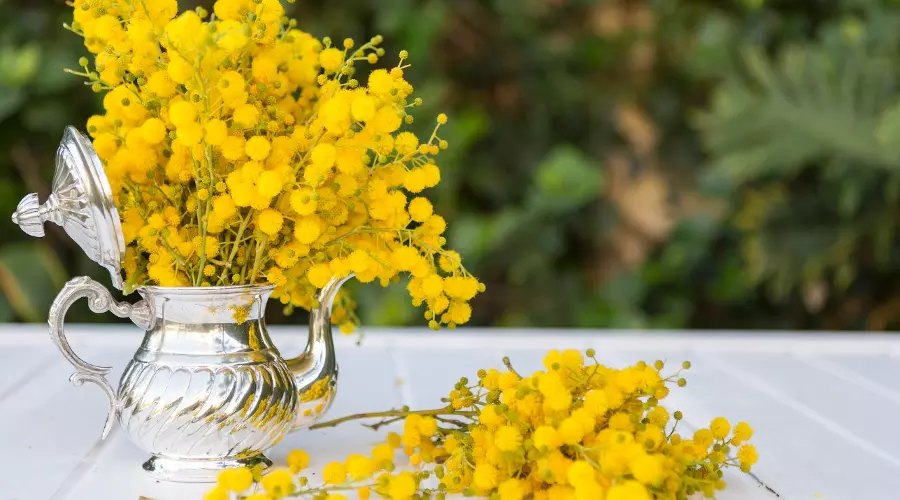  &copy;&nbsp;Фото freepik с сайта https://freepik.com