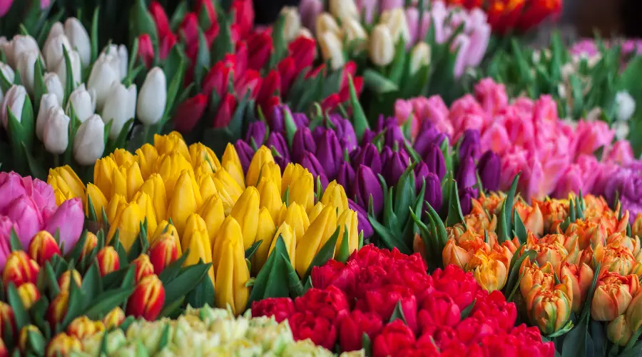  &copy;&nbsp;Фото Ioann-Mark Kuznietsov с сайта Unsplash.com