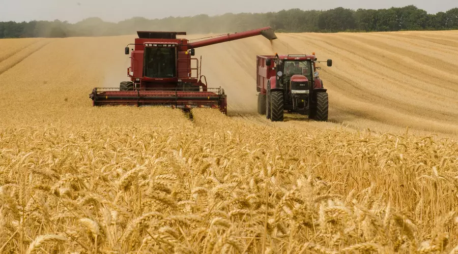  &copy;&nbsp;Изображение Stan Petersen с сайта Pixabay