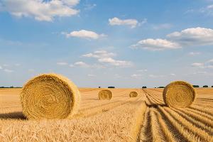  &copy;&nbsp;Изображение сгенерировано нейросетью Сбера GigaChat