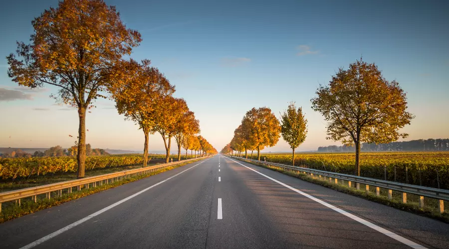  &copy;&nbsp;Фото Karsten Würth с сайта Unsplash.com