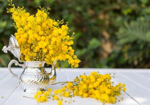  &copy;&nbsp;Фото freepik с сайта https://freepik.com