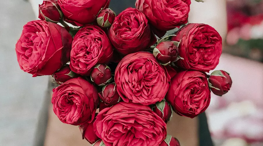  &copy;&nbsp;Фото rock earth с сайта Unsplash.com